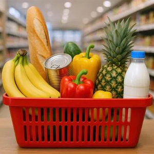 Pack Alimentation de base
